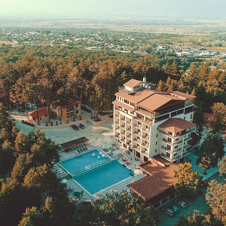 Zuzumbo Resort & Spa Telavi Esterno foto