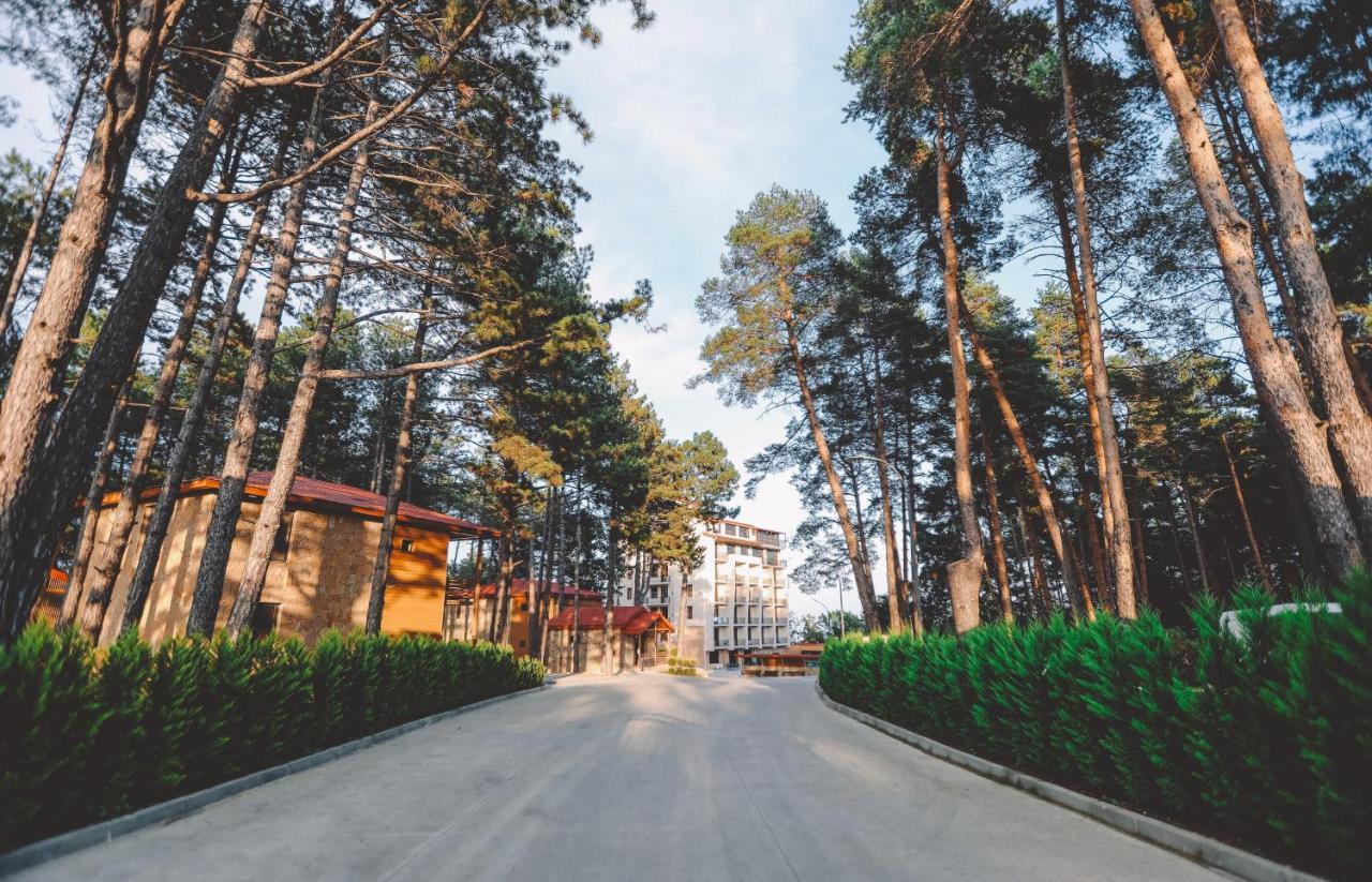 Zuzumbo Resort & Spa Telavi Esterno foto