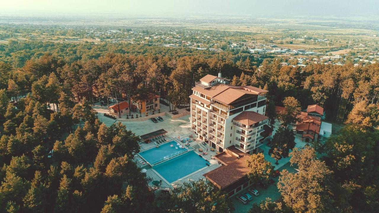 Zuzumbo Resort & Spa Telavi Esterno foto