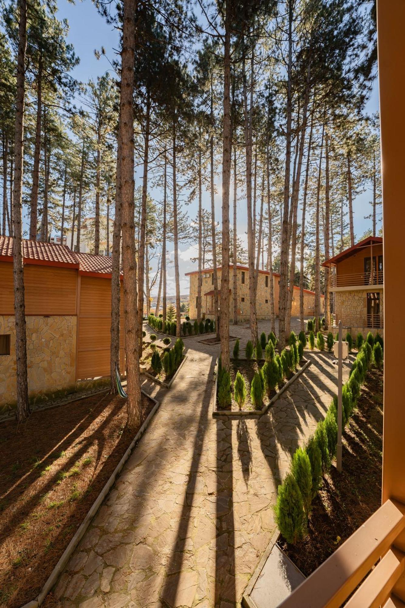 Zuzumbo Resort & Spa Telavi Esterno foto