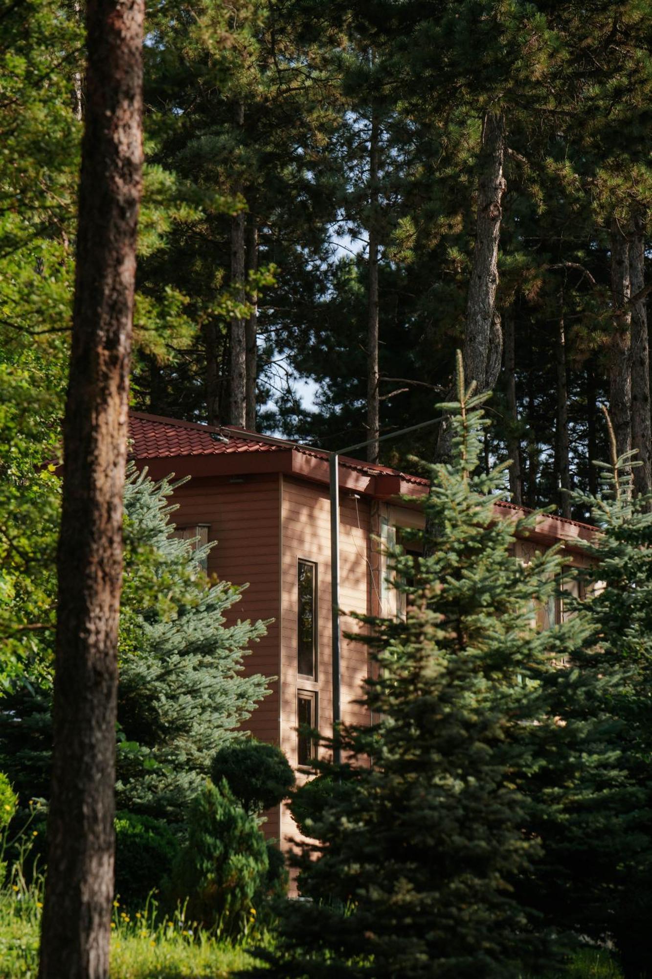 Zuzumbo Resort & Spa Telavi Esterno foto